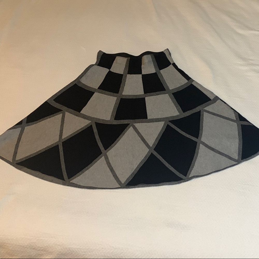 Sioni Black and Gray A-Line Skirt